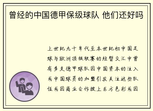 曾经的中国德甲保级球队 他们还好吗